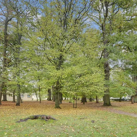 Lägenhet Chic And Spacious Apart Near Versailles La Celle-Saint-Cloud